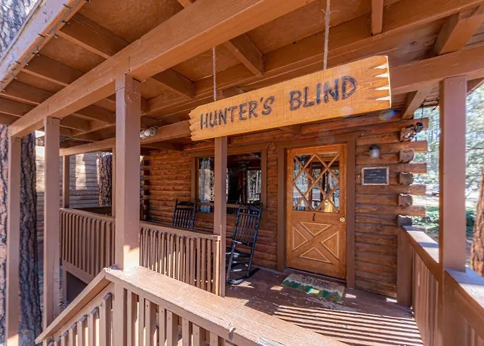 Forest 1 Hunters Blind