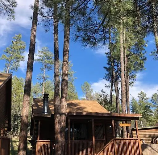 Dom wakacyjny Forest 1 Hunters Blind Payson