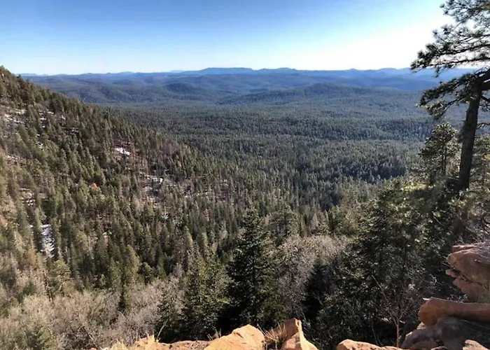 Forest 1 Hunters Blind Dom wakacyjny Payson