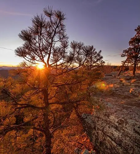 Forest 1 Hunters Blind Dom wakacyjny Payson